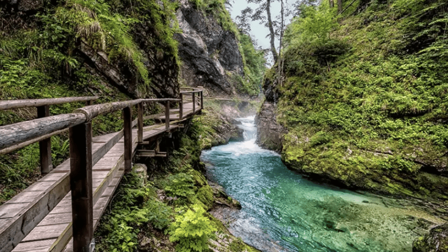 Slovenia Nature Parks