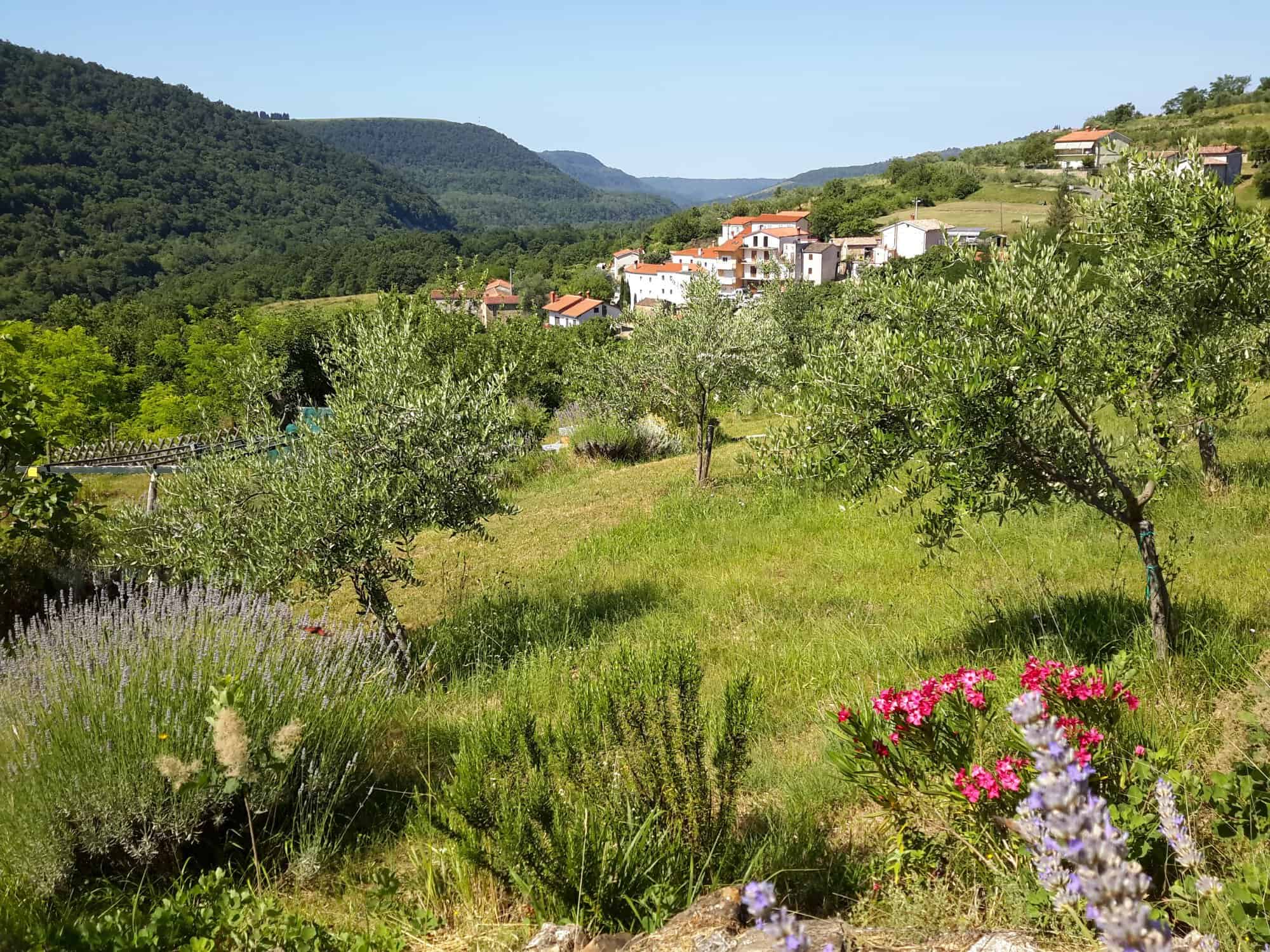 Holiday House in Istria in pristine nature foto 6