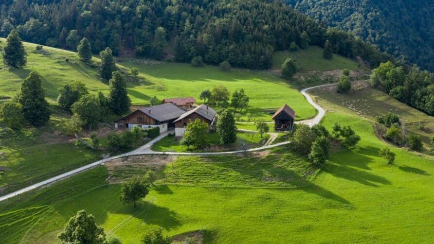 Discover Borseka: Your Mountain Retreat in the Heart of Nature