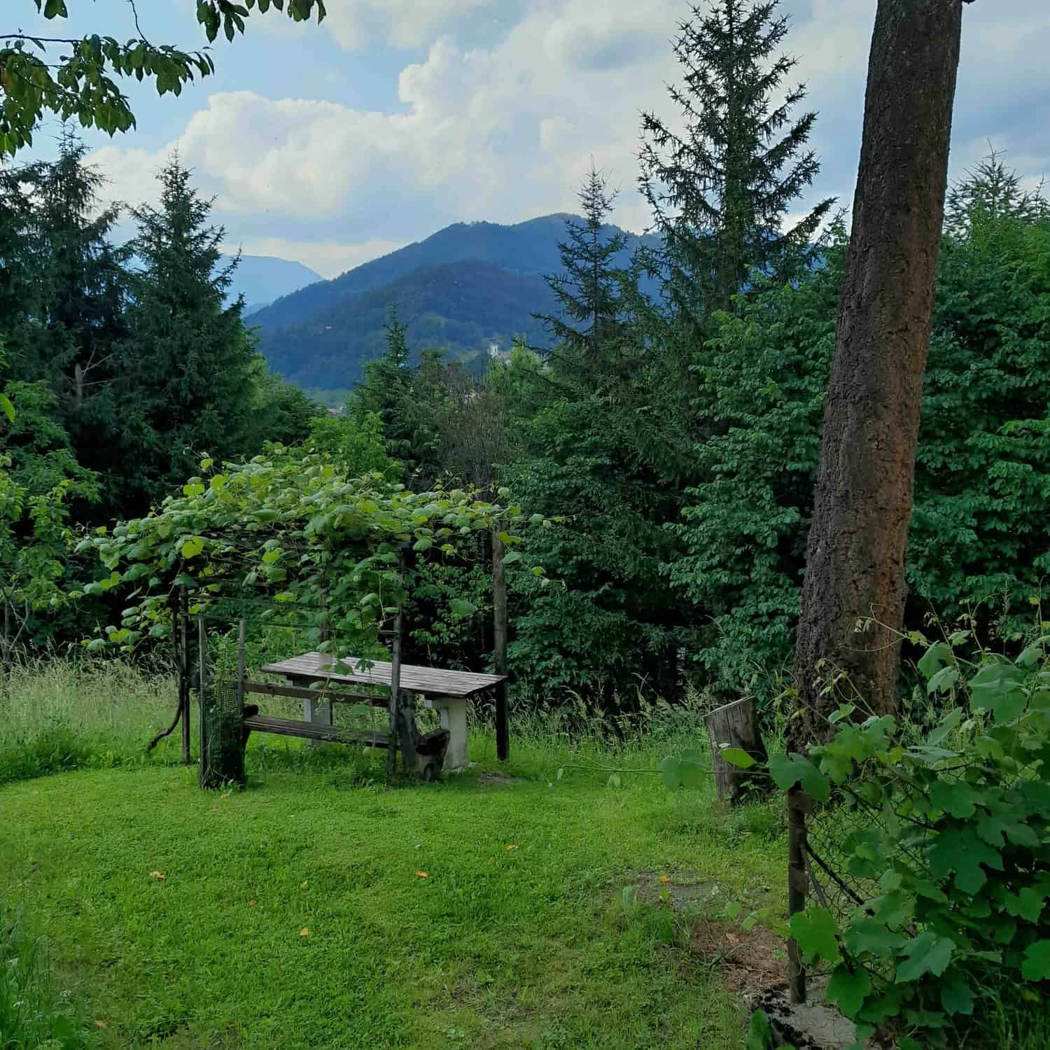 Holiday house Pekovo 1825 foto 6